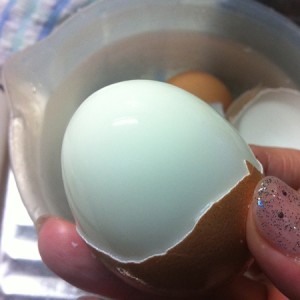 簡単フライパンゆで卵の作り方 加熱3分節約レシピ！ツルッと剥ける！